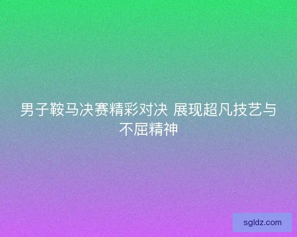 男子鞍马决赛精彩对决 展现超凡技艺与不屈精神